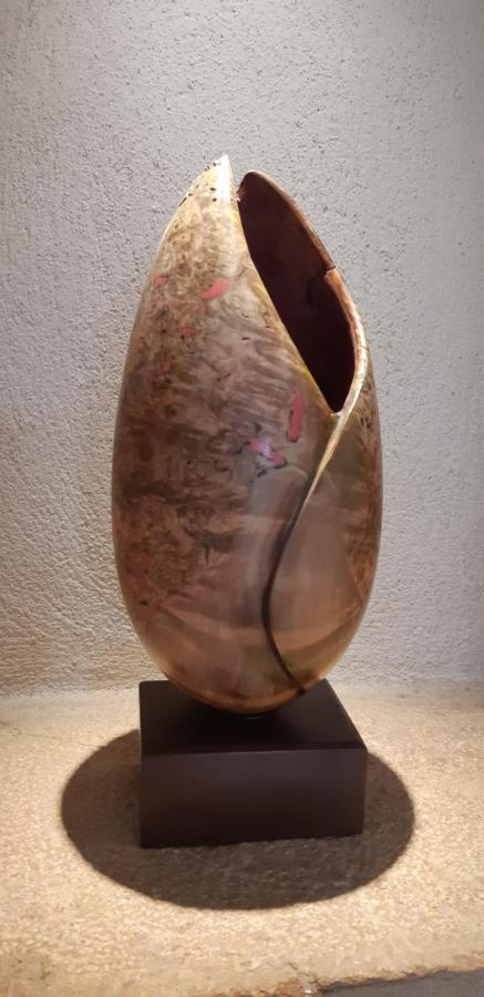 Gite Stone & Spa Chasselay Екстер'єр фото